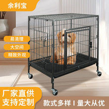 �Fˇ���ܹ��\����ȮС��Ȯ̩�Ͽ»��҃Ȏ��������ù����ڌ���\