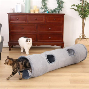 ���N��ëֱͨ؈��������؈�ʘ�ͨ���ļ�ͨ�����؈����cat tunnel