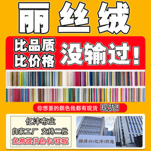 定制荷兰绒丽丝绒沙发布 全涤短毛绒束口袋玩偶布料  箱包鞋材里