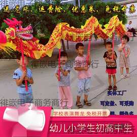 舞龙儿童学校师生幼儿园多人棍子龙头节目表演道具健身龙带麦太保