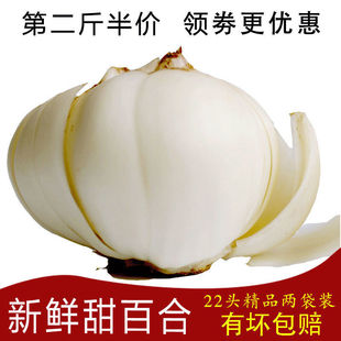 ���]���r�F���m���r�ٺ����ٺ�ʳ����ٺ��r���߲˰����Ҝ�