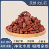 火山石颗粒多肉兰花颗粒土植料铺面石鱼缸底砂滤材红色火山岩|ru