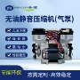 压力大流量无油气泡活塞泵