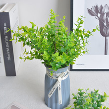 �羳�����ȼ����ݷ���ֲ����X�~�Gɫ��ֲ����������ˮ���b���