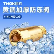黄铜防冻阀批发  户外水管防冻裂温度控制阀 管道低温4分防结冰阀