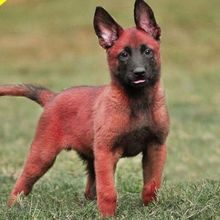 ���N�RȮ��Ȯ���w����Ȯ���N��Ȯ�����r�RȮѪ�y�o�lȮ���w���l