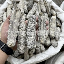 精选货马尔代夫黄玉参 黄肉参 黄玉刺参淡干海参干货批发条条漂亮