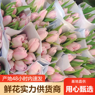 �������r�����l����r��ֱ����c���û���[���û���^�Fُ؛Դ