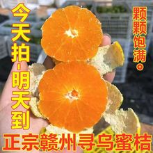 【明天到】现摘江西赣州寻乌蜜桔新鲜大果薄皮砂糖橘子超甜批发