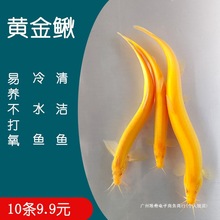 ˮSqɫ坍~~Bͻ¾^pС~