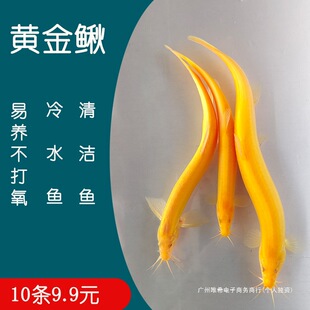 ��ˮ�S�����q���ɫ�坍�~�����~�������B�ͻ��¾����^�pС���~