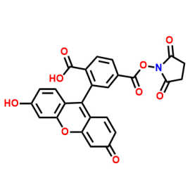 5(6)-羧基荧光素琥珀酰亚胺酯  CAS：117548-22-8