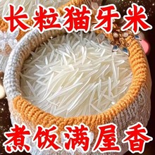 �����^�ͳ�6800�ˡ��z����؈�����L�������r�Ҵ������m��ԇ�����