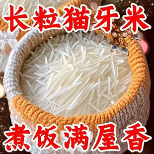 �����^�ͳ�6800�ˡ��z����؈�����L�������r�Ҵ������m��ԇ�����