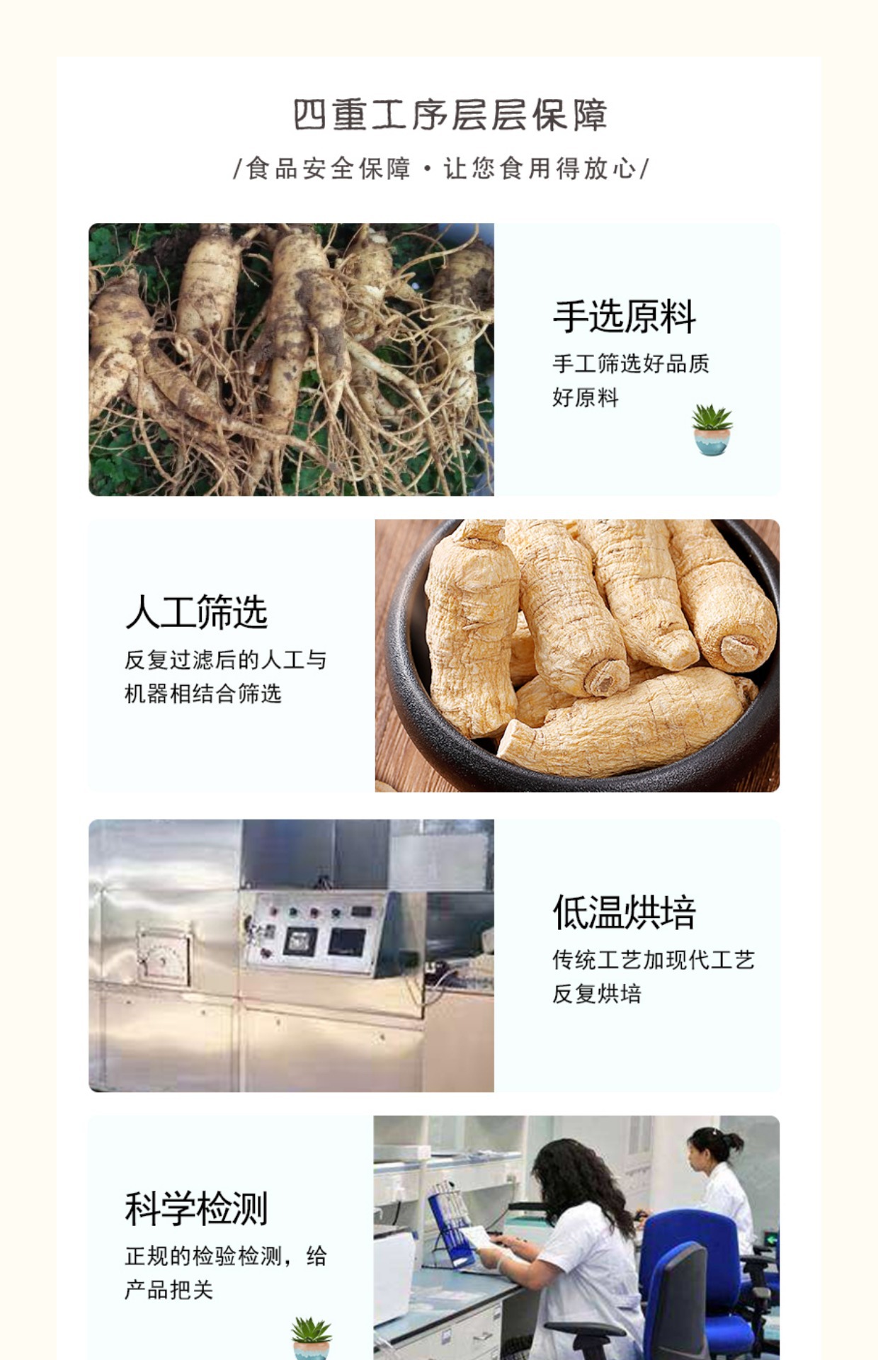 American Ginseng Slices Xi Yang Shen 10g Dried Root Tea and Culinary Use quality and texture