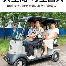小巴士新款X3经典四人座老年代步车家用接送孩子电动四轮车其他