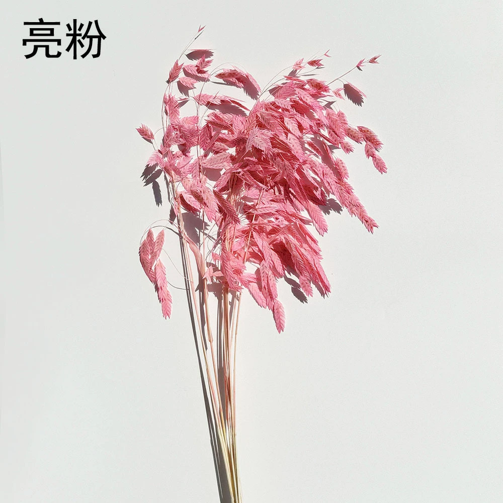 Сохранённые вечные цветочные стебли Xiao Pianwang Cao, цветочная сушёная букетная композиция, 10 шт, 30–60 см