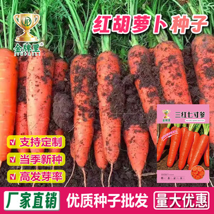 ˮ�����}���N������̼t���}���N�Ӽt�}���͟��ͺ����ļ��߲˷N��