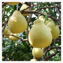 ����N�����ӷN�����ַN��������޽�ɳ���ּt������߮a���ӷN��