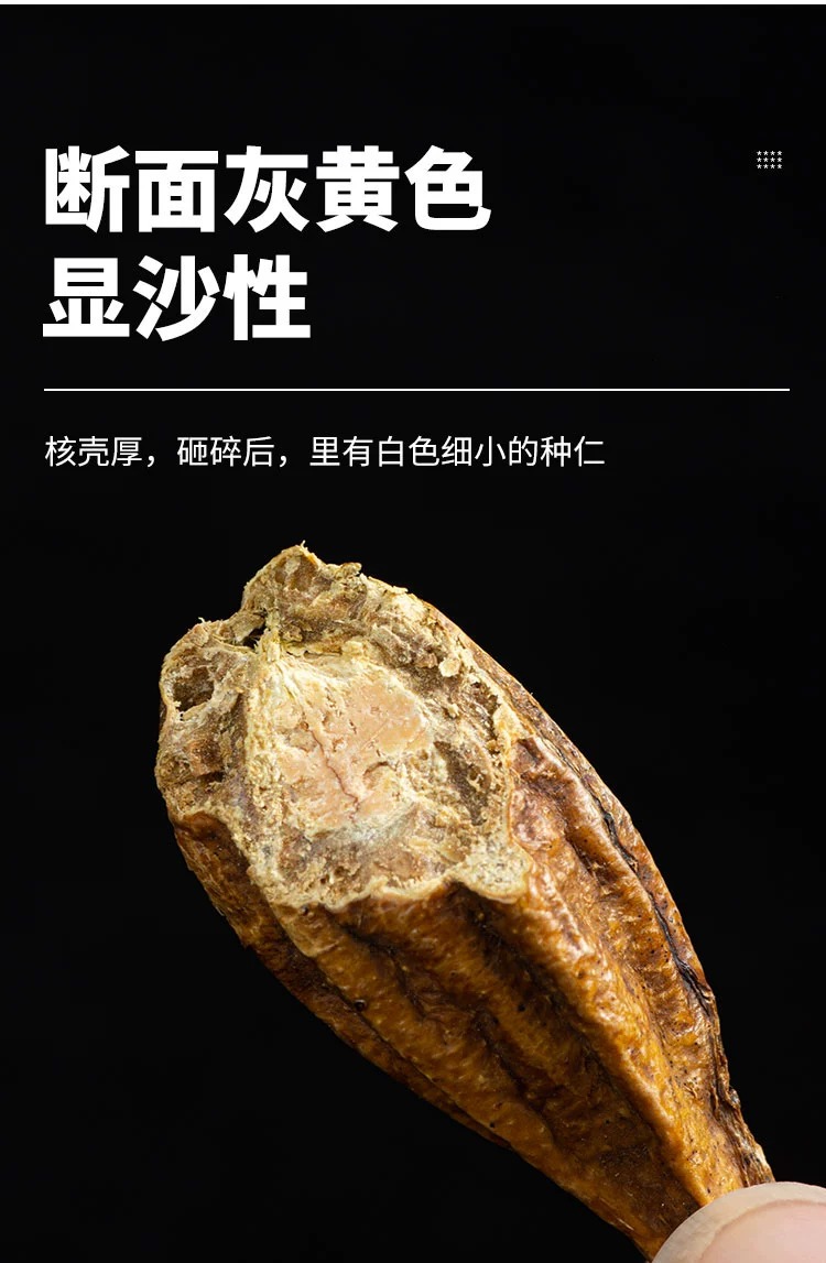Yin Hua Guo Dried Fruit Tea and Infusion Herb 500g Two Jars Anhui Origin quality and texture