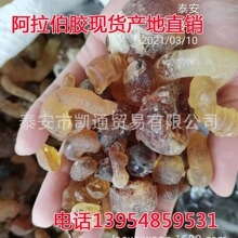 �S�����l�������z ���ް������z 25������b �F؛