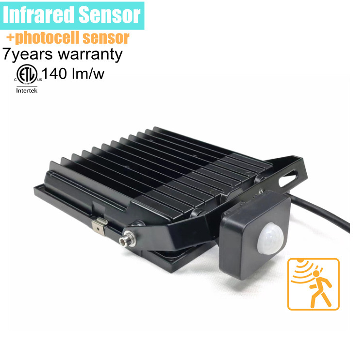 ETL SAA CB flood light 50w outdoor advertising sign courtyard projection light LED projection light outdoor spotlight