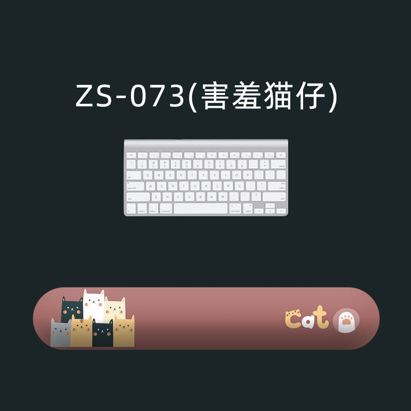 ZS-073