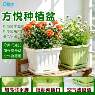 欧林泽正方形花盆加厚阳台种菜专用塑料矮形花盆种球根朱顶红花盆