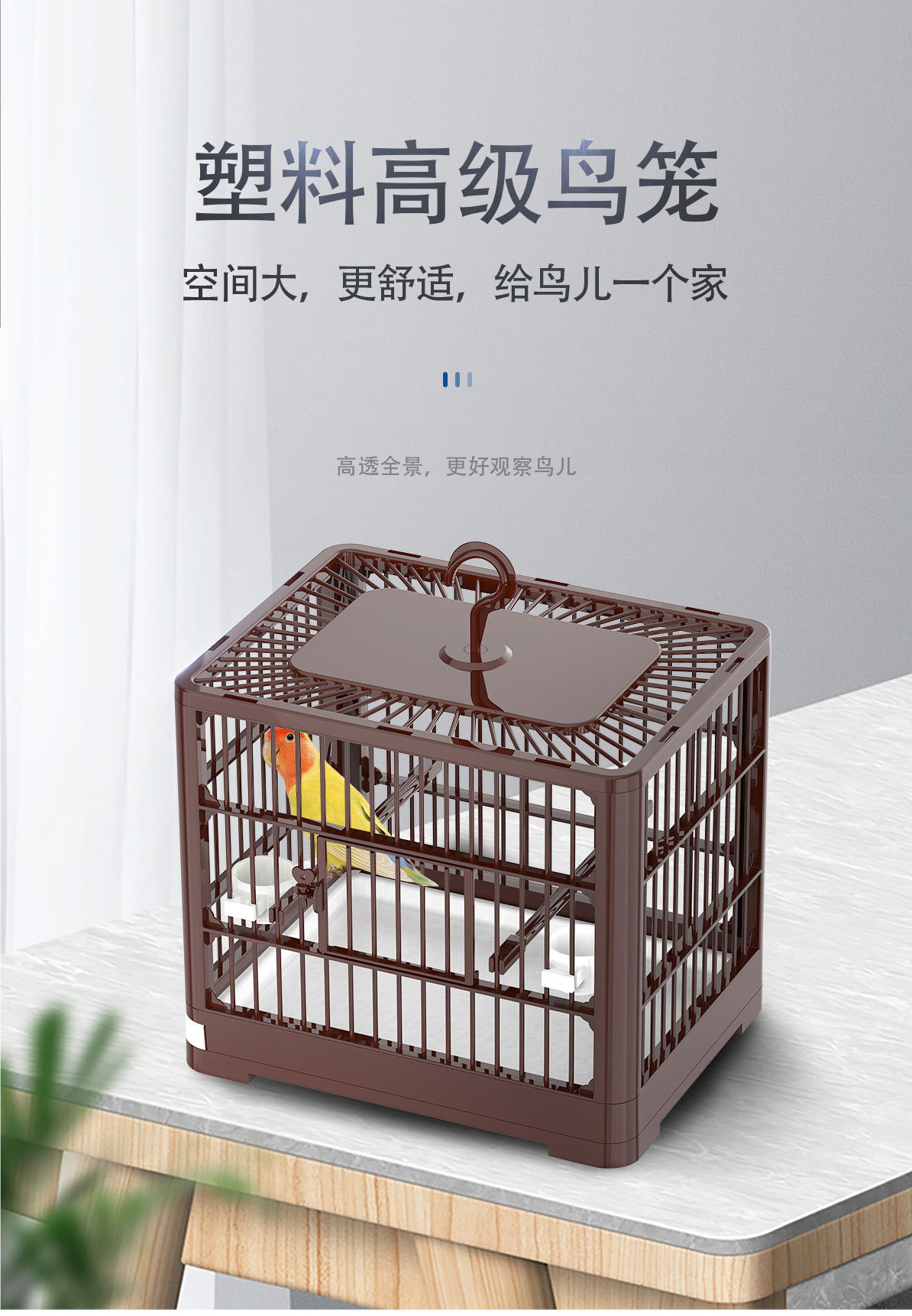 详情页_01.jpg