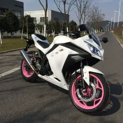 License-able motorcycle Kawasaki Ninja, Motosikletlər