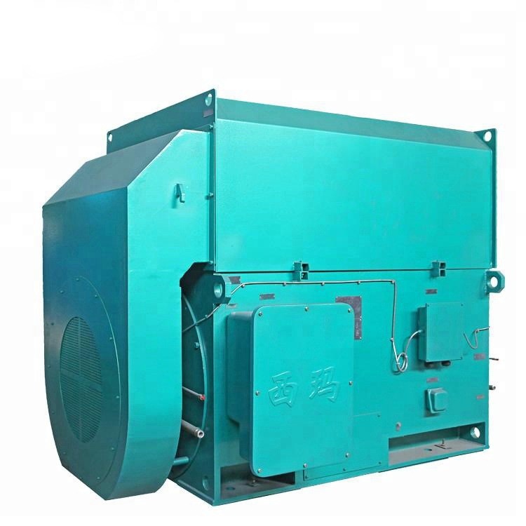 鸿泰鼠笼型高压三相异步电机	YKK6306-4	2800KW	10KV	过载能力强