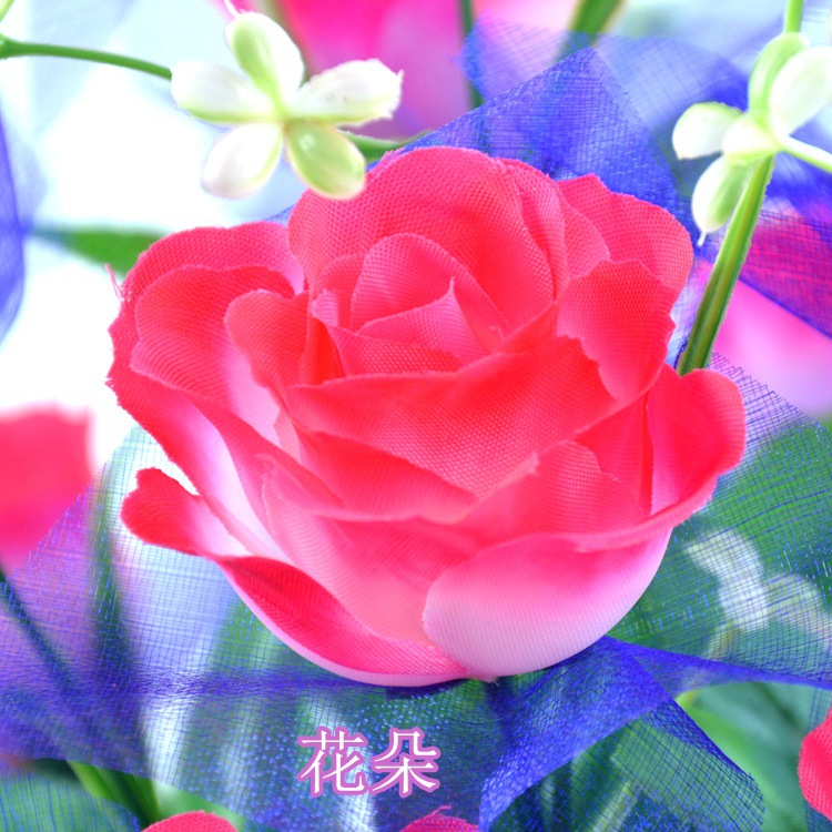 12头带纱星星草孔雀玫细节图3.jpg