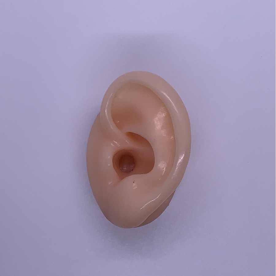 Falso modelo de oído de silicona suave simulación de oído humano espárrago del auricular accesorios médicos enseñanza pantalla ventas directas de la fábrica
