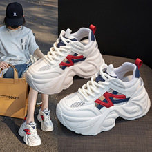 ����ϵ�ЬŮ2026�ļ��¿��U��͸�⼆�W�ɸ�ٴ�W�t���������eЬ