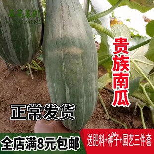 �F���ϹϷN���½���z���ϷN�Ѱ����Ϲϳ�ϴ����ļ���Ŵ�߲˷N��