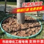 发酵园林定制打磨松鳞
