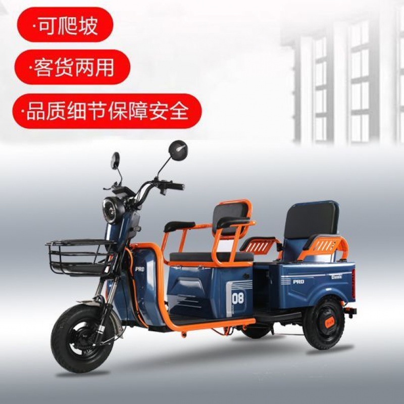 电动三轮车客货家用老年人电车代步车接送老人孩子小型两用电动车|undefined