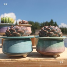 ֱ�N���Ĵָ������մɶ��⻨��M�������ռ{��������