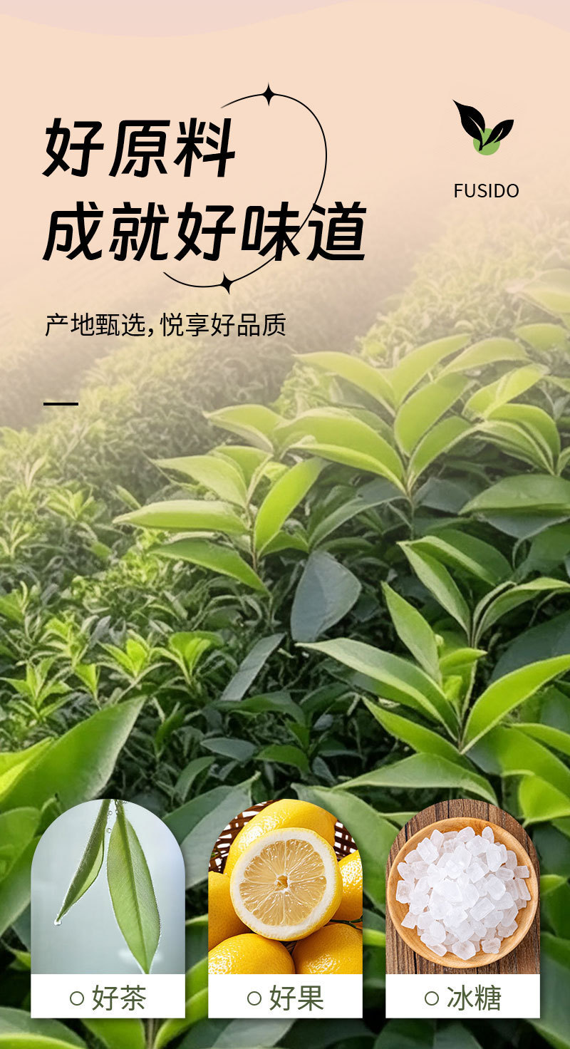 Cucumber Pineapple Cold-Brew Tea Bags (青瓜菠萝茶) — Fruit & Herb Blend with Green Tea key features