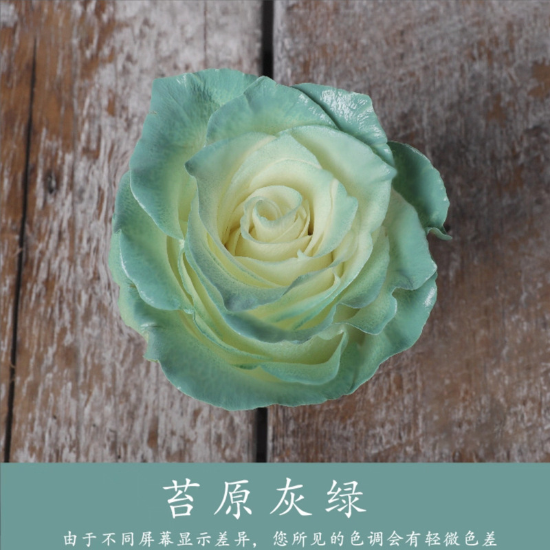 450ml agente de color de aerosol de flores al por mayor pintura en aerosol de secado rápido agente de teñido de rosas de color aerosol de color perlado floristería