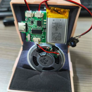 立体唱片机播放磁控下一首8M内存手工diy立体书diy自制机关我们俩