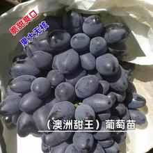 I͡o˰јĺľ޽ͥԺԷN