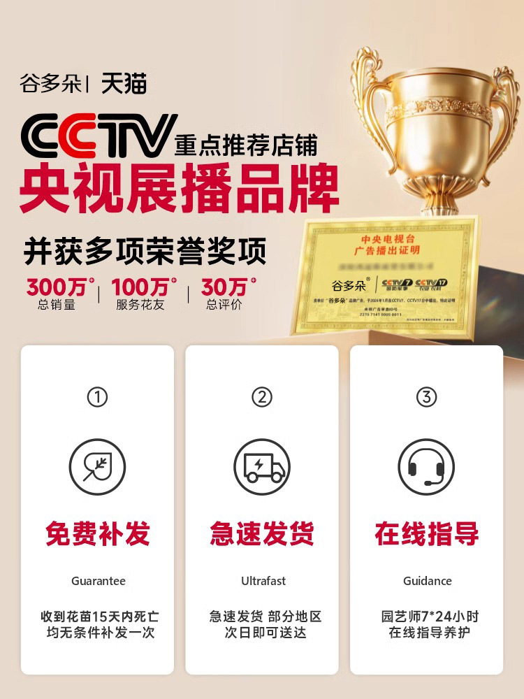 CCTV 명명 카테고리 TOP - 따라가면 항상 옳습니다