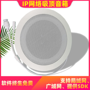 Ip Network Digital Shouting Hunting Broadcast Ceiling Speaker Embedded Active Built-In Amplifier Speaker Poe