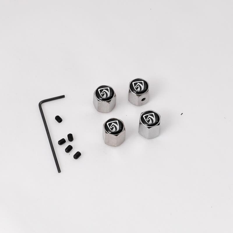 Tapa de Válvula para Neumáticos de Acero Inoxidable Antirrobo para Autos image 19