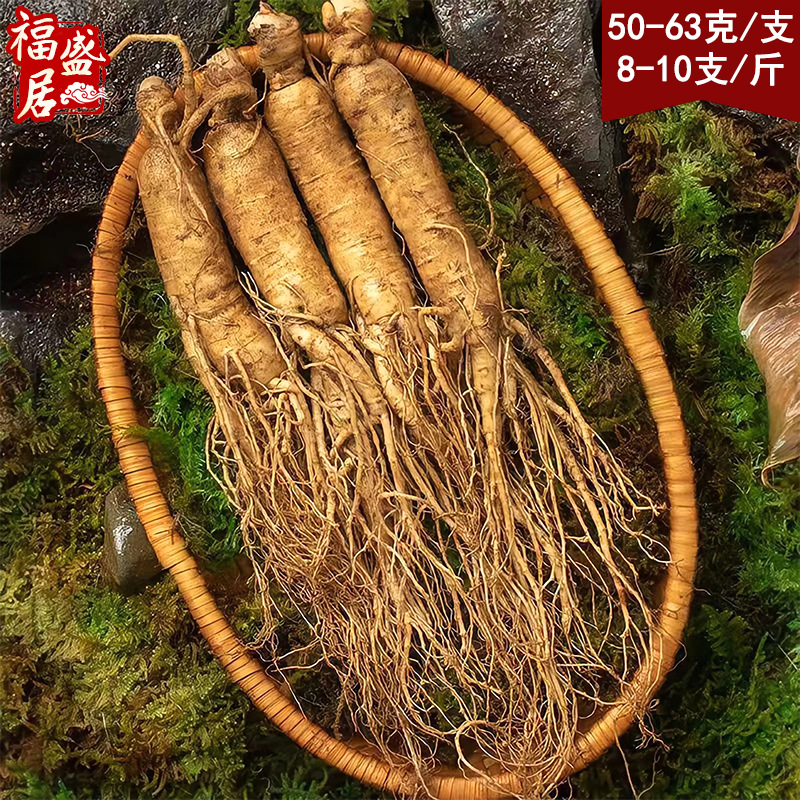 长白山新鲜人参500g/1斤装现挖现售带土鲜参东北特产批发鲜人参