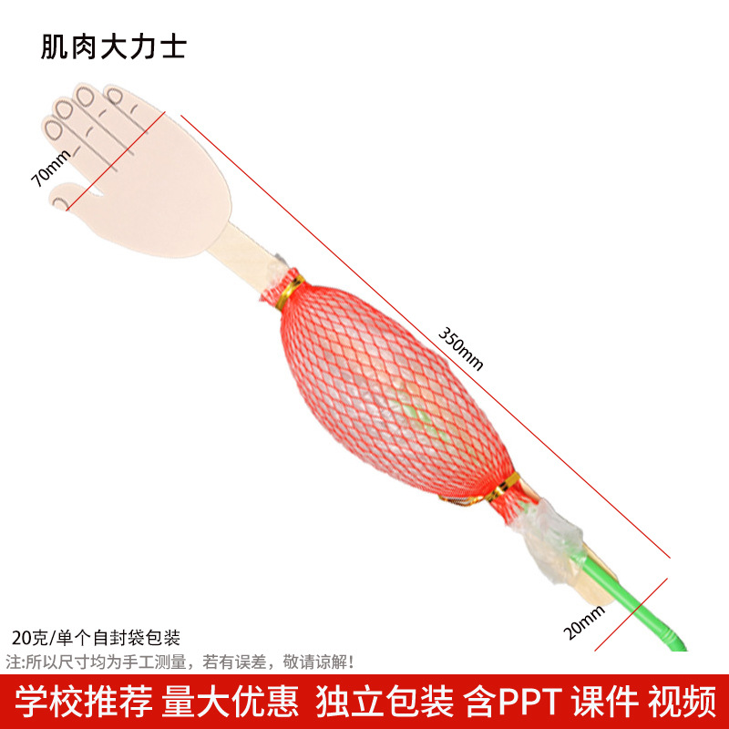 Los niños de Ciencia y Tecnología pequeña producción material didáctico kindergarten hecho a mano DIY experimento científico estudiante regalo juguetes al por mayor