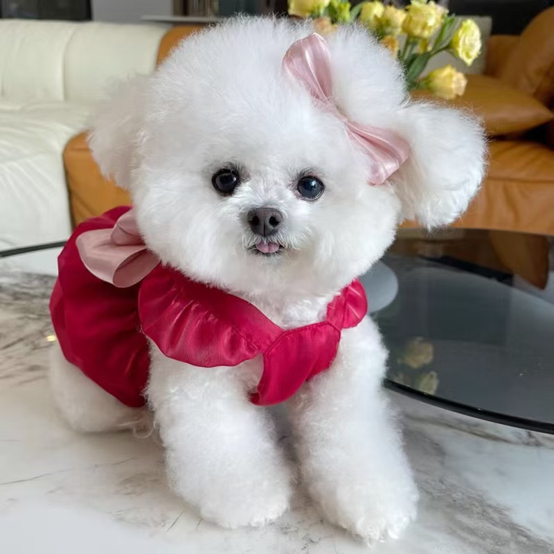 ペット服 夏用 薄手 通気性 可愛い リボン付き シフォン生地 プリンセスドレス テディ ビション 犬 猫用|undefined