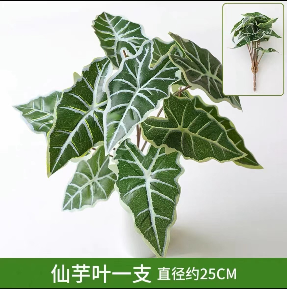 Taro leaves