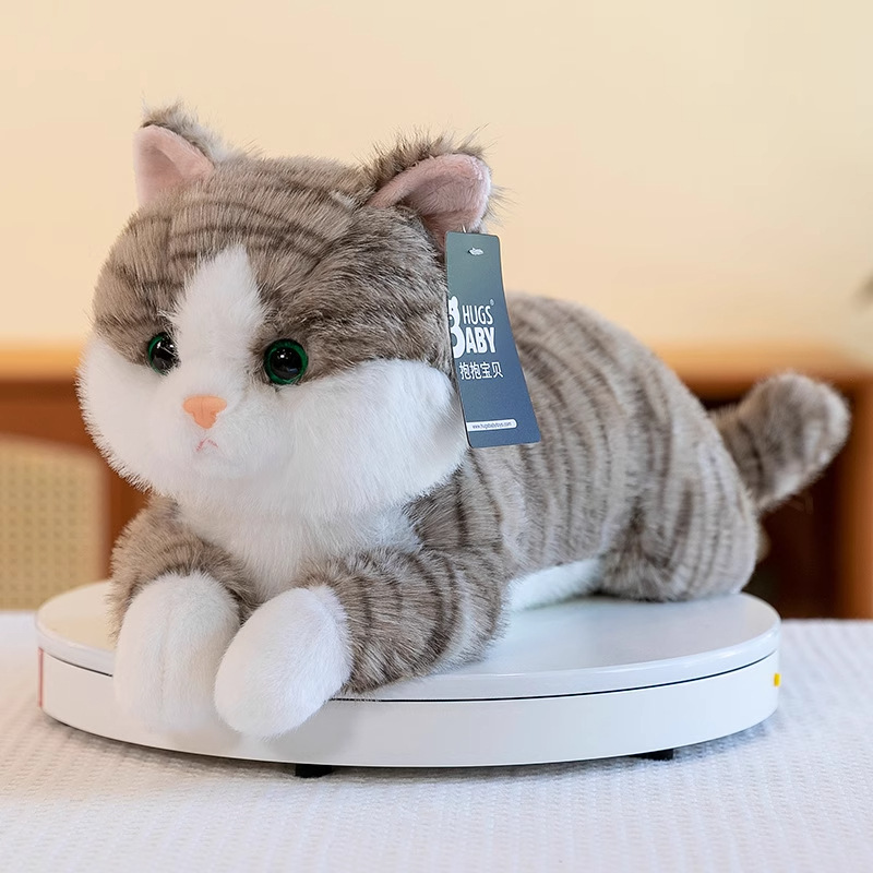 Lying cat - gray
